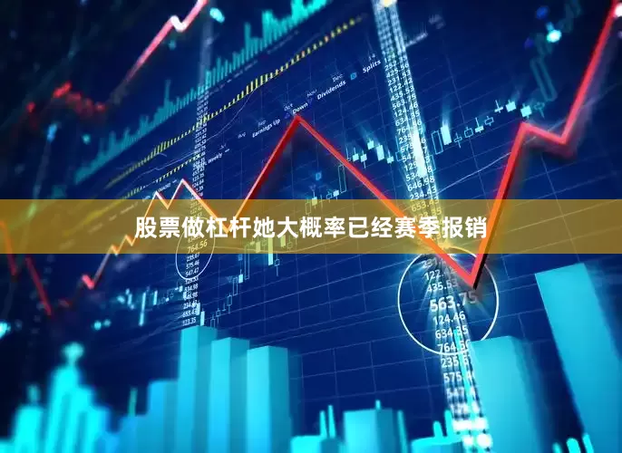 股票做杠杆她大概率已经赛季报销